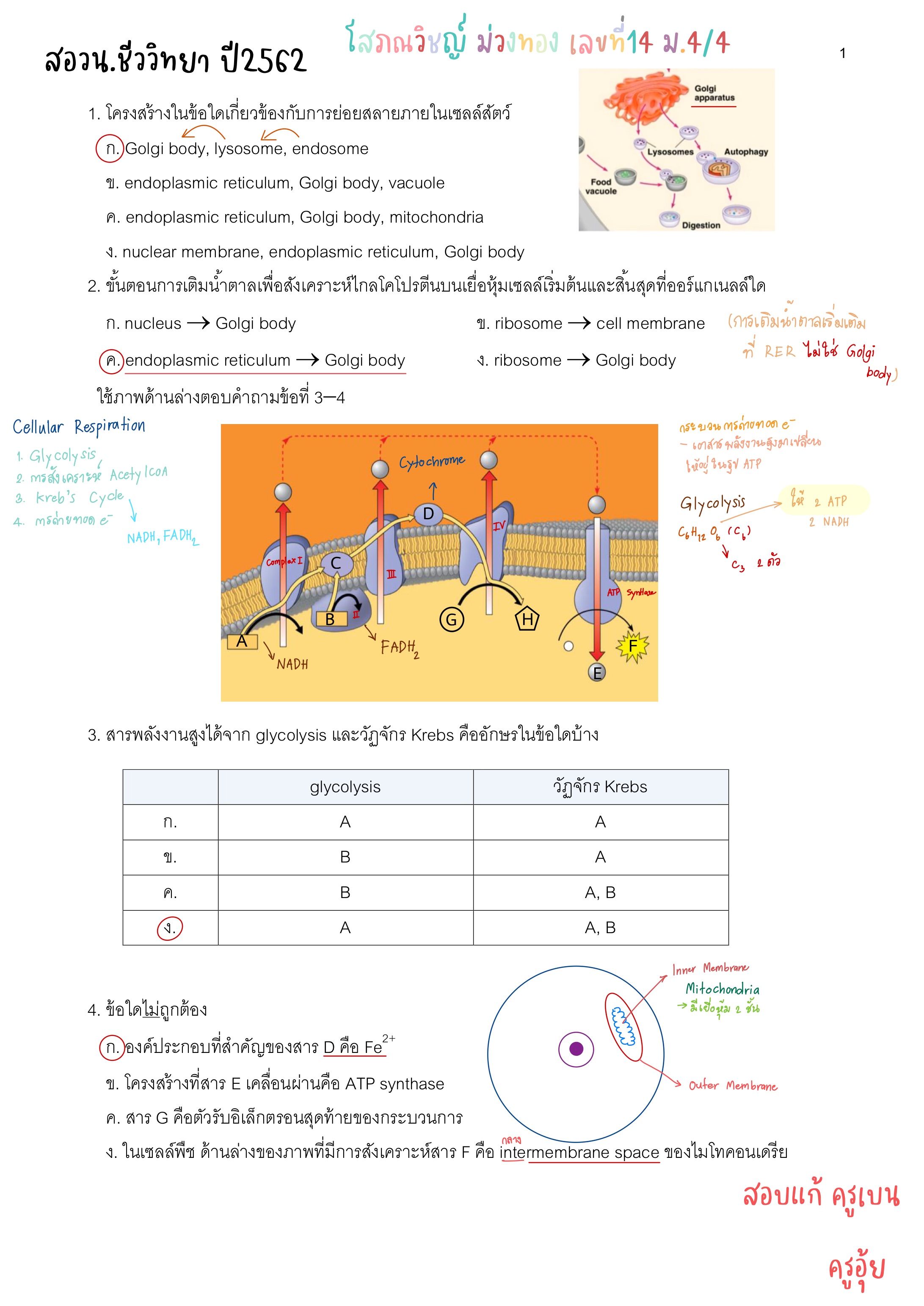 Attachment E47D633E-99F9-4645-A996-203999D85A0D.jpeg